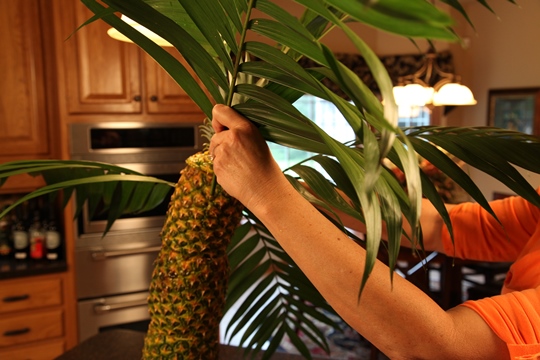 Adding Palm Leaves to Pineapple Palm Tree