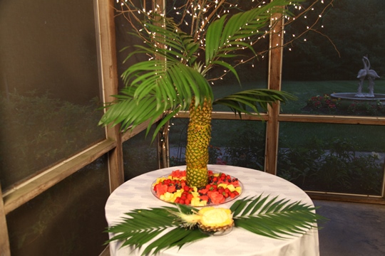 Vickies Pineapple Palm Tree and Garden